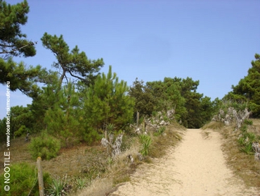 balade-noirmoutier