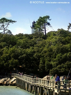 estacade-bois-de-la-chaise