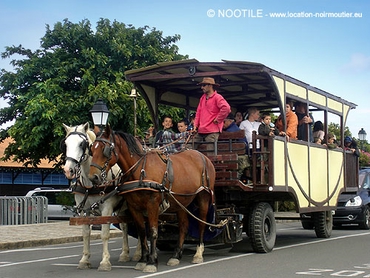 hypobus-noirmoutier