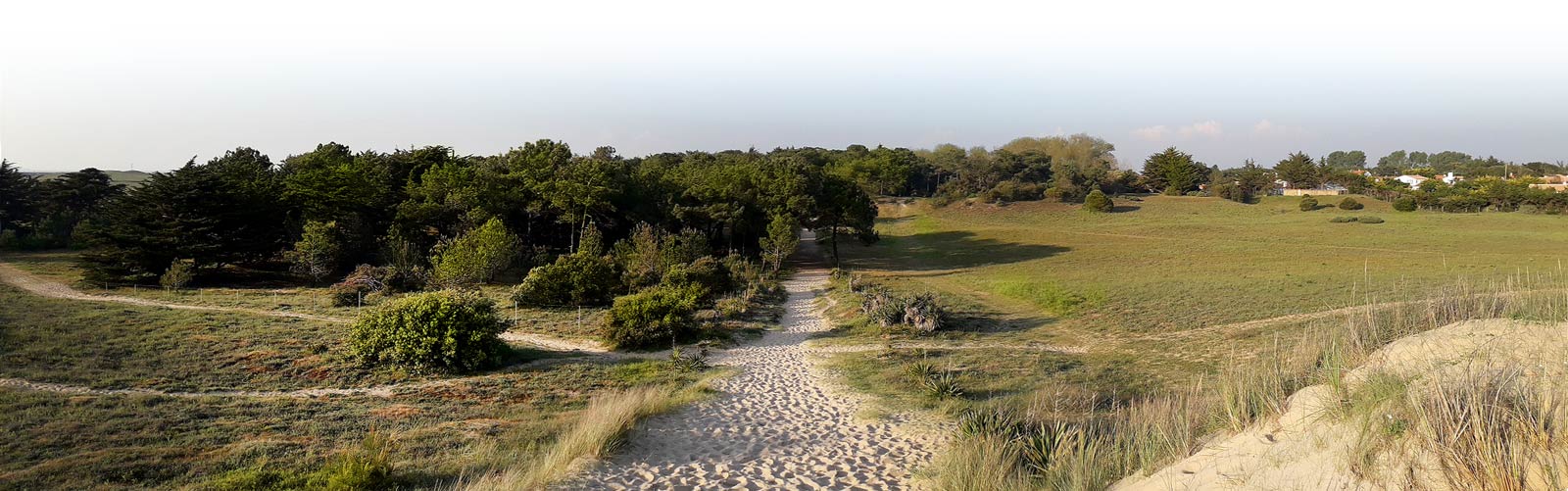 plaines plages de Noirmoutier Barbatre