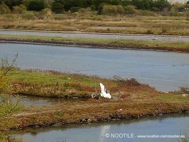 marais-salants-de-noirmoutier-3