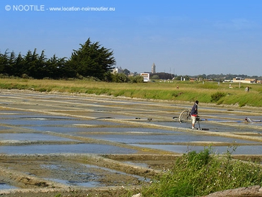 marais-salants-de-noirmoutier-5