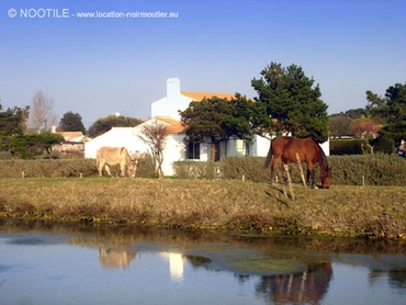 marais-salants-de-noirmoutier-6