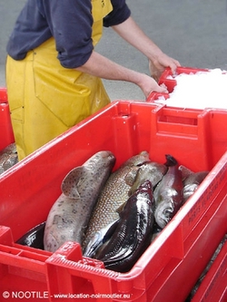 peche-noirmoutier