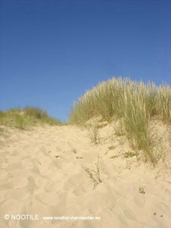 plage-barbatre-10