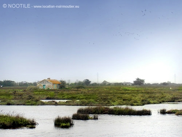 polders-noirmoutier